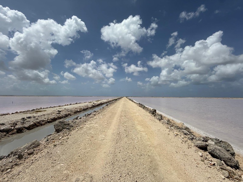 A causeway runs between pink brine ponds at the Lusca Salt works on Great Inagua.